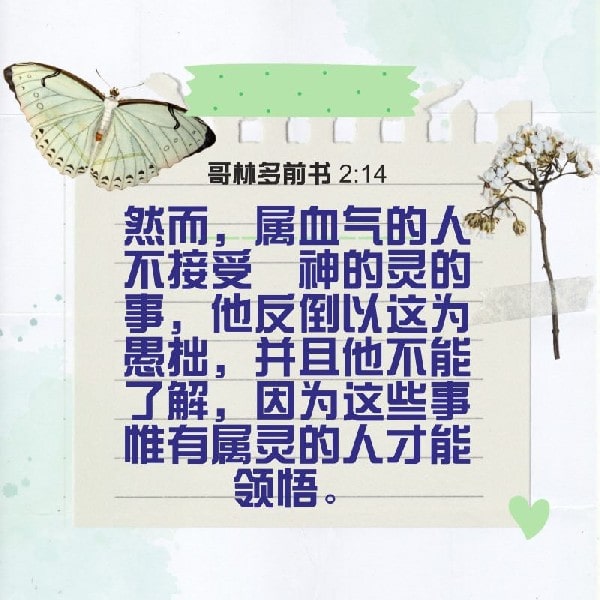 1 Corinthians 2:14