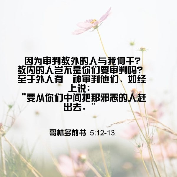 1 Corinthians 5:12-13