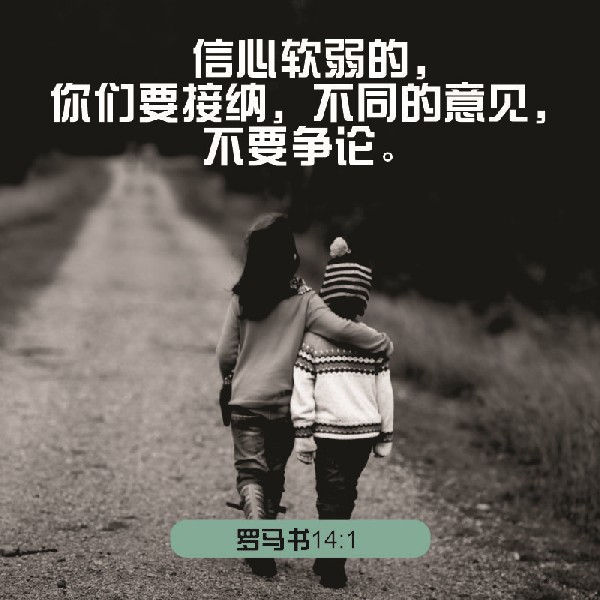 Romans 14:1