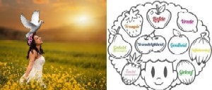 Galatians 圣经学习;圣经讨论