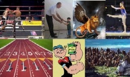 提摩太 圣经学习;圣经讨论